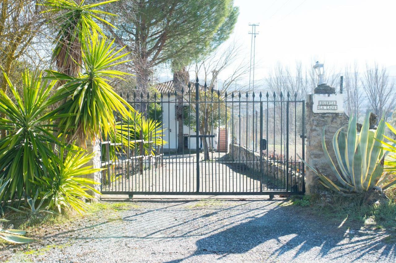 Apartamento Rural Cristi Ronda Buitenkant foto